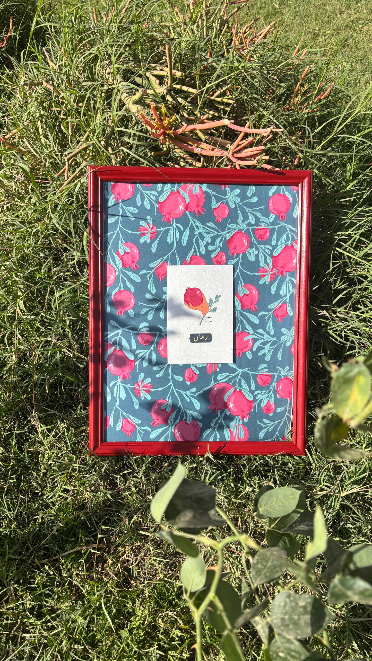 Pomegranate Wall Art