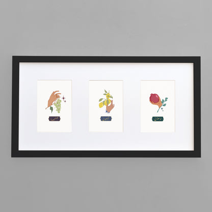 A Handful of Fruit Series Tri-frame